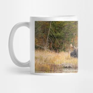 Bull Moose, Algonquin Park Mug